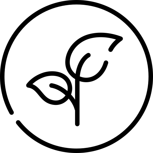 frutiferas